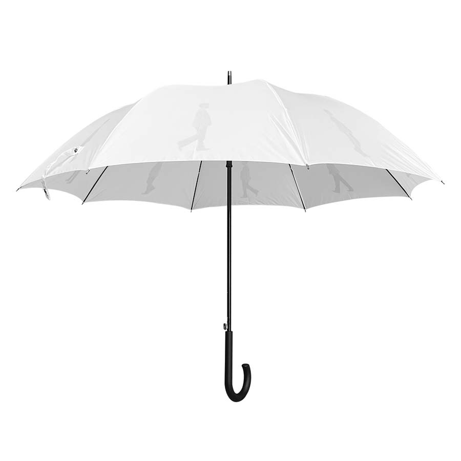 이찬혁비디오 (Leechanhyukvideo) - [우산] 기념 MD 우산