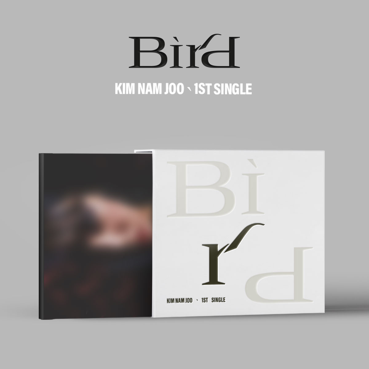 김남주(Kim Nam Joo) - 싱글앨범 1집 [Bird]