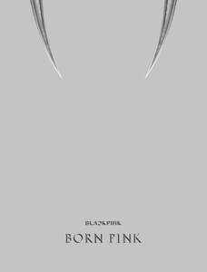 블랙핑크 (BLACKPINK) - 2집 앨범 [BORN PINK] BOX SET [GRAY ver.]