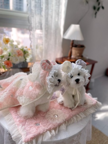 Fundle.jp ファンドル公式サイト【世界初のペットスリング】