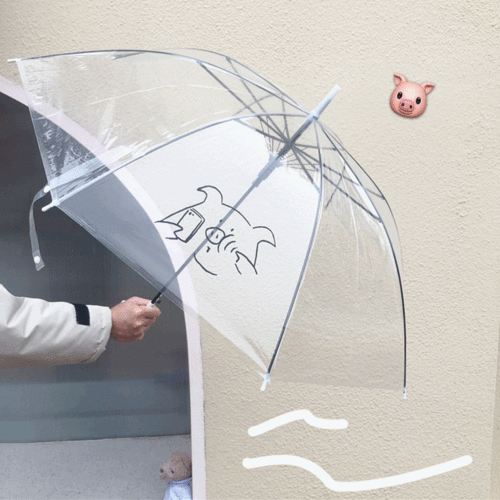피그미 돼지 우산