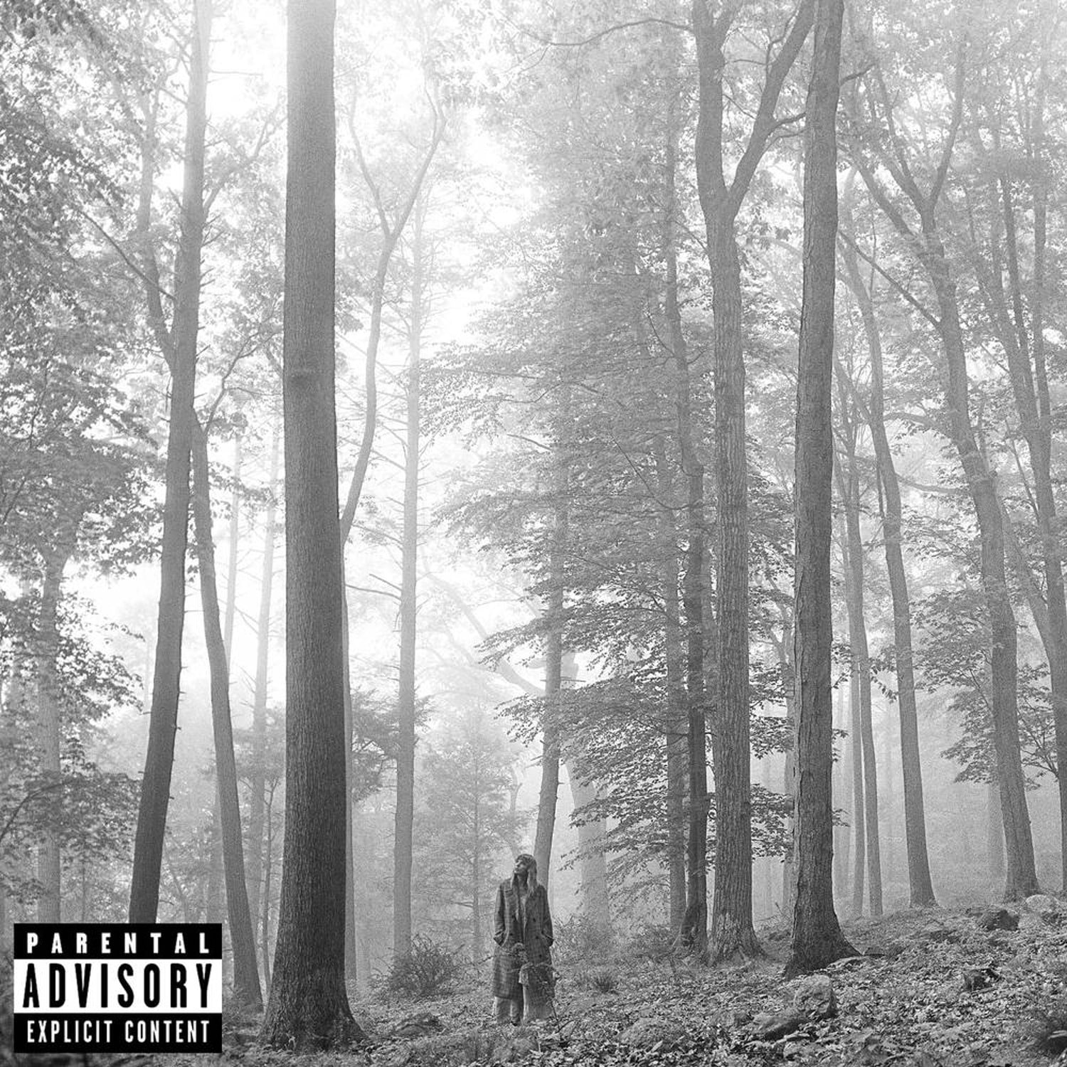 Taylor Swift / Folklore (Vinyl, 2LP, Brown Colored, Gatefold Sleeve, Deluxe Edition  In The Trees) *한정수량 할인