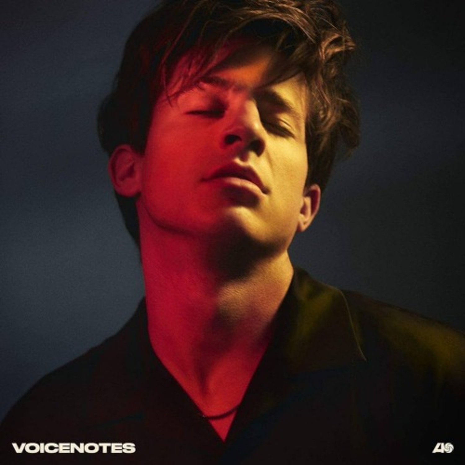Charlie Puth / Voicenotes (Vinyl)