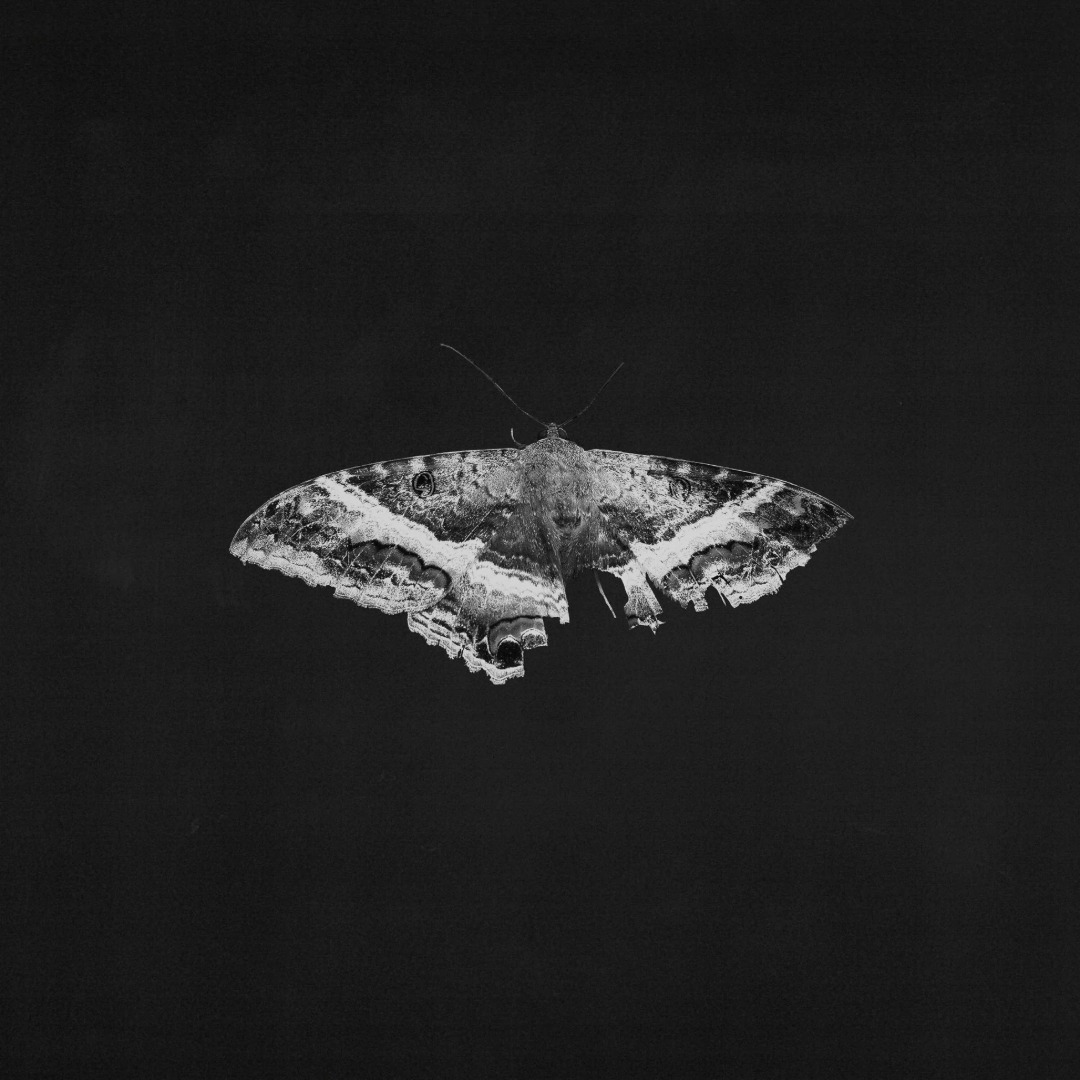 Kendrick Lamar / To Pimp A Butterfly (Vinyl, 2LP, 10th Anniversary Alternate Artwork)