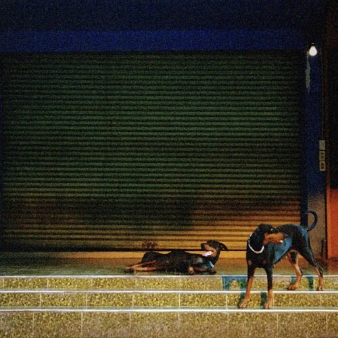 Overmono / Pure Devotion (Vinyl)