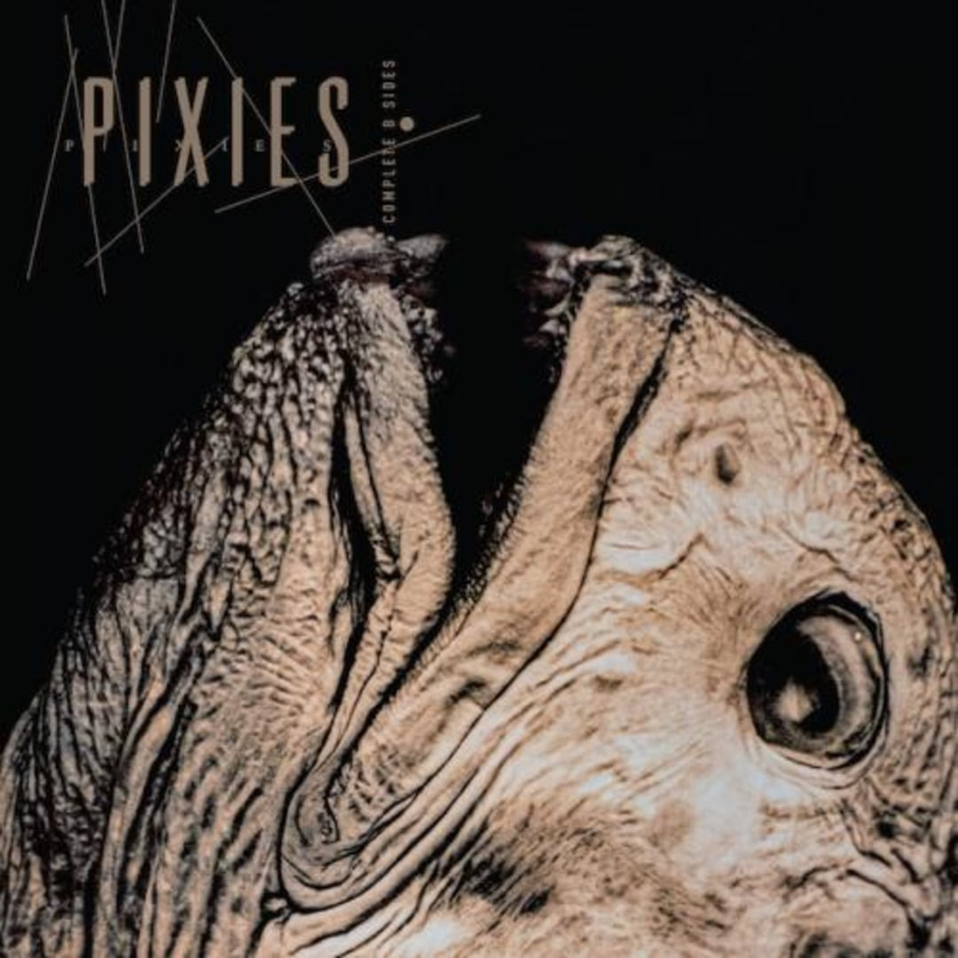 Pixies - Complete B Sides: 1988-1997 커버