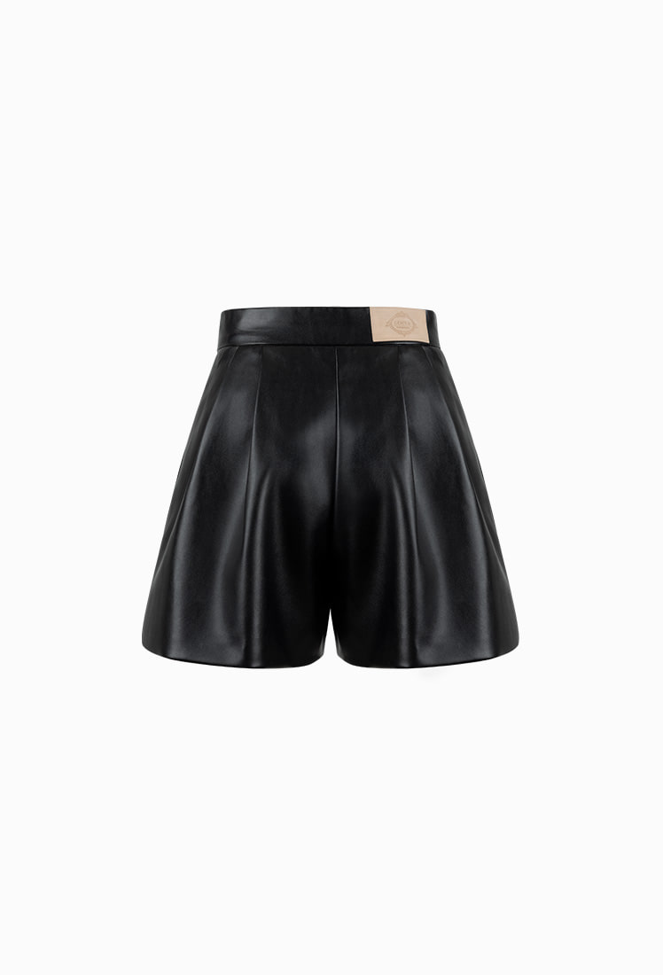 Heize Shorts (Black)