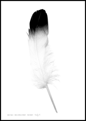 Feather no.02