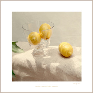 Lemon Scent no.04 : 700*700(mm)