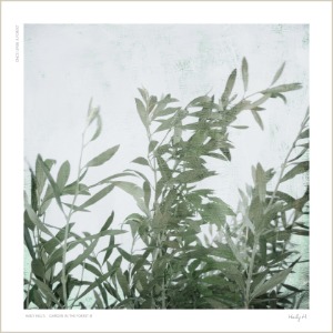 The Wind no.01 : Olive Leaves