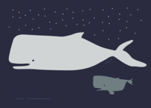 Whale&#039;s Blue no.02