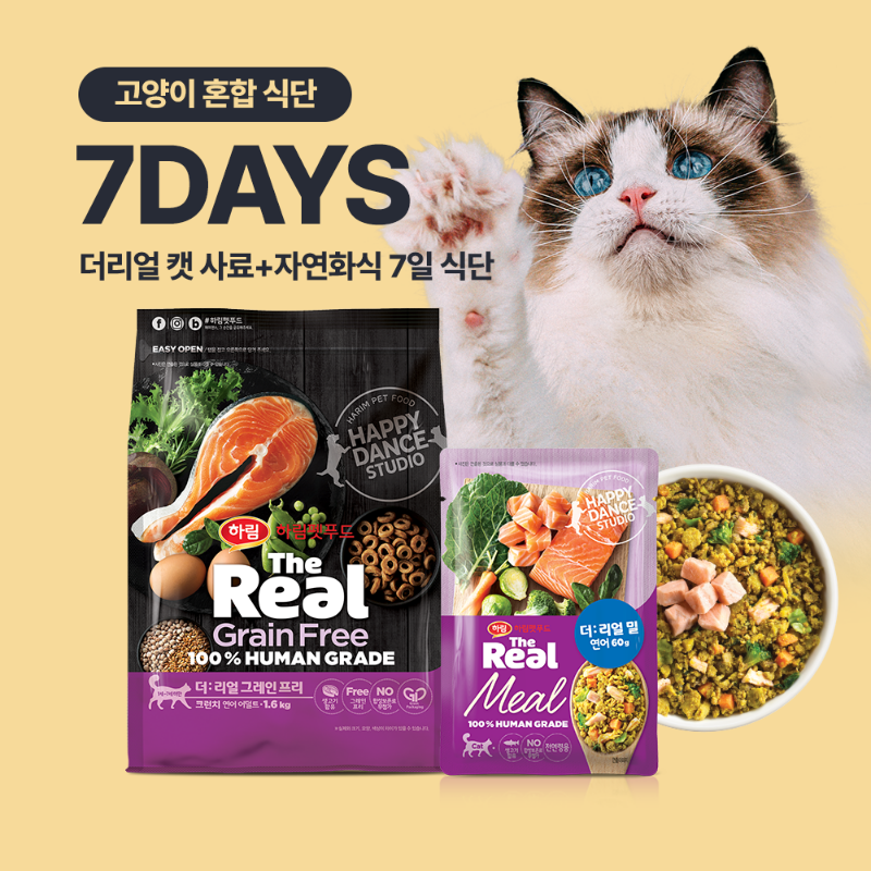 더리얼 고양이 혼합 7일 식단(사료+화식)