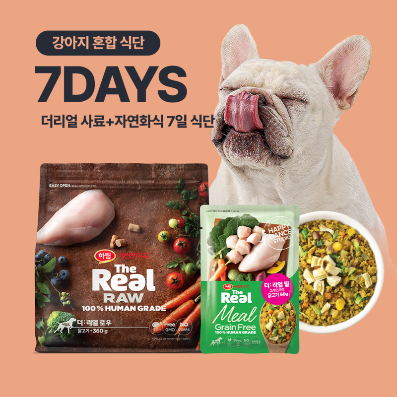 더리얼 강아지 혼합 7일 식단(사료+화식)