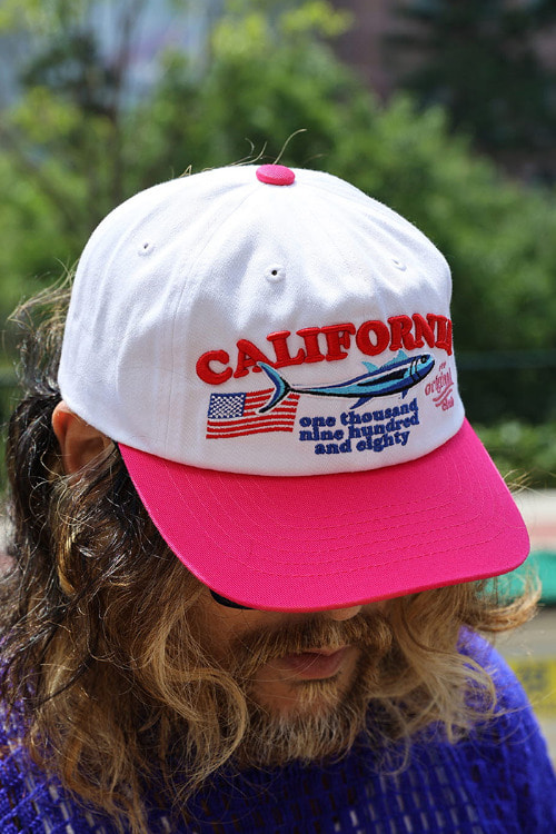 ByTheRcalifornia embroidered ball cap