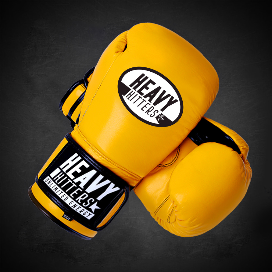 Details about   HEAVY HITTERS CHAMPION HOOK AND LOOP TRAINING GLOVES H6-FF-BK 