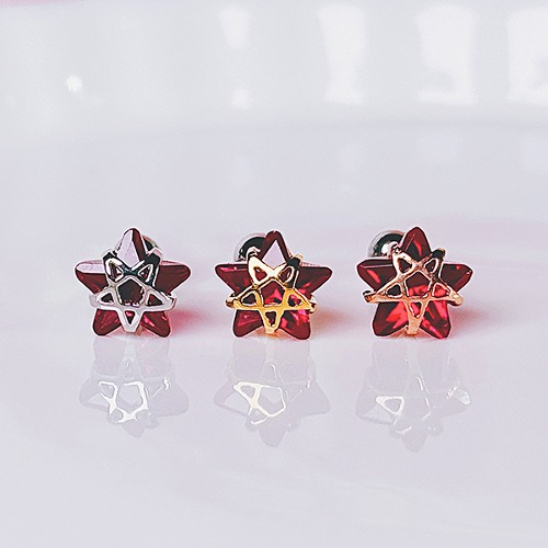 [RED] Pole Star 피어싱/귀걸이