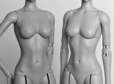 Slim woman body vol.2