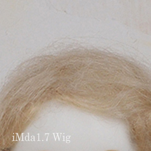 iMda1.7 Wig