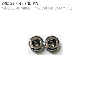 PPS End Pin Chrom 1-2