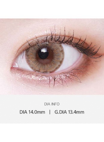 Wonder Eye Brown (10pcs) 1Day G.DIA 13.4mmLENSVERYLENSPOP