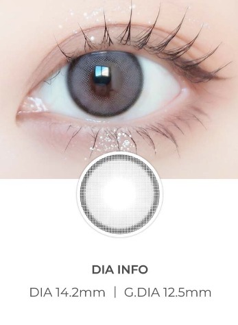 Day Ring Gray (2pcs) 1Monthly G.DIA 12.5mmANNLENSPOP