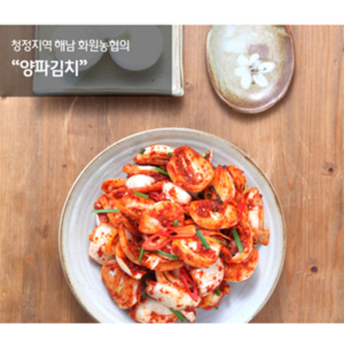 (화원농협)해남 이맑은 양파김치 3kg