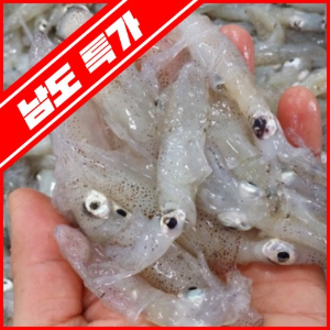 [남도특가]국내산 여수 꼴뚜기(호래기) 1kg
