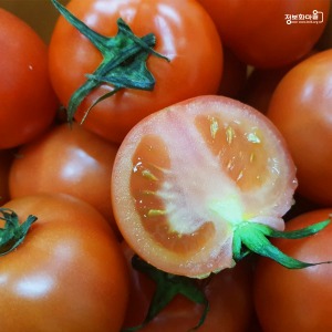 [정보화마을] 화순능주마을 갈아먹는 완숙 토마토 5kg