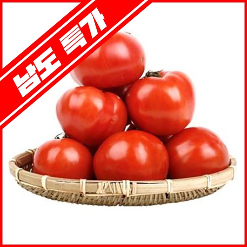 [남도특가]유기농 완숙토마토 5kg/10kg
