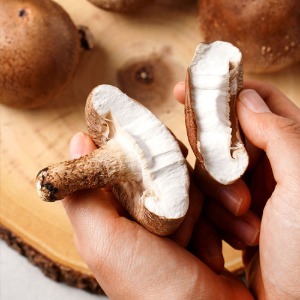 (153버섯농장) 쫄깃하고 고소한 영양 가득 무농약 생표고버섯 1kg