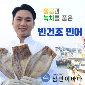 (삼면이바다) 울금과 녹차를 품은 반건조 민어 1미 / 3미 / 5미