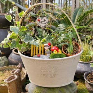 [체험활동꾸러미] 천연가습기! 공기정화식물 인테리어 정원만들기