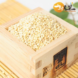 (황토사랑) 황토밭푸드 천년의미소 22년산 햇찰보리쌀 (4kg/10kg)