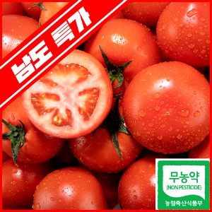 [남도특가]풍부한 과즙과 맛이 진한 무농약 완숙찰토마토