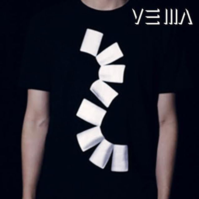 재팬팬티셔츠L사이즈 (Japan Fans T-shirt（L） by VE MA)