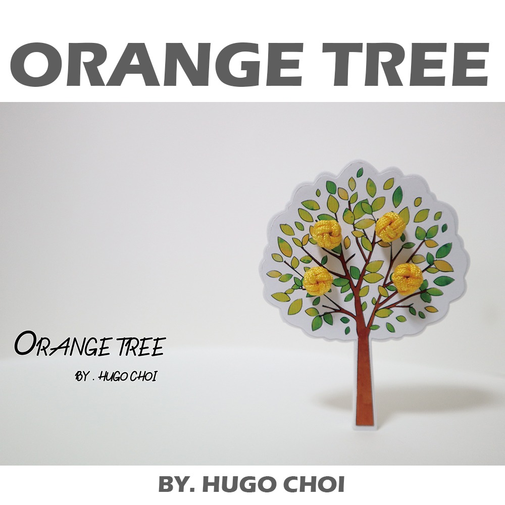 ORANGE TREE 오렌지트리