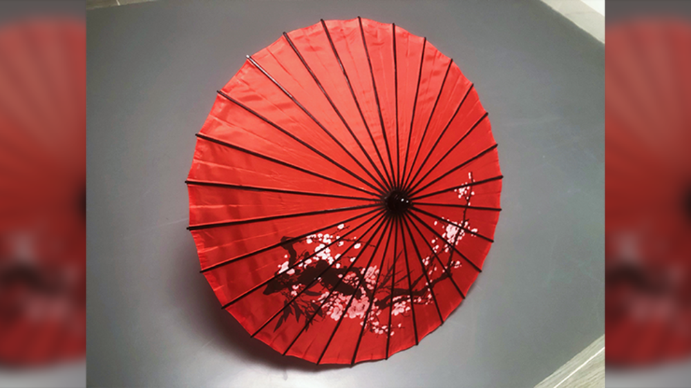 Dragon Parasol RED by LY &amp; MS Magic - Trick