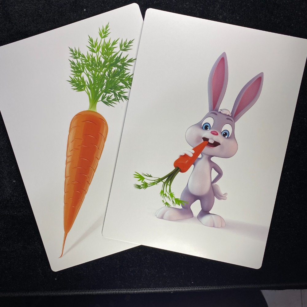 토끼와당근Rabbits and carrots(DVD포함)-일본정품토끼와당근Rabbits and carrots(DVD포함)-일본정품