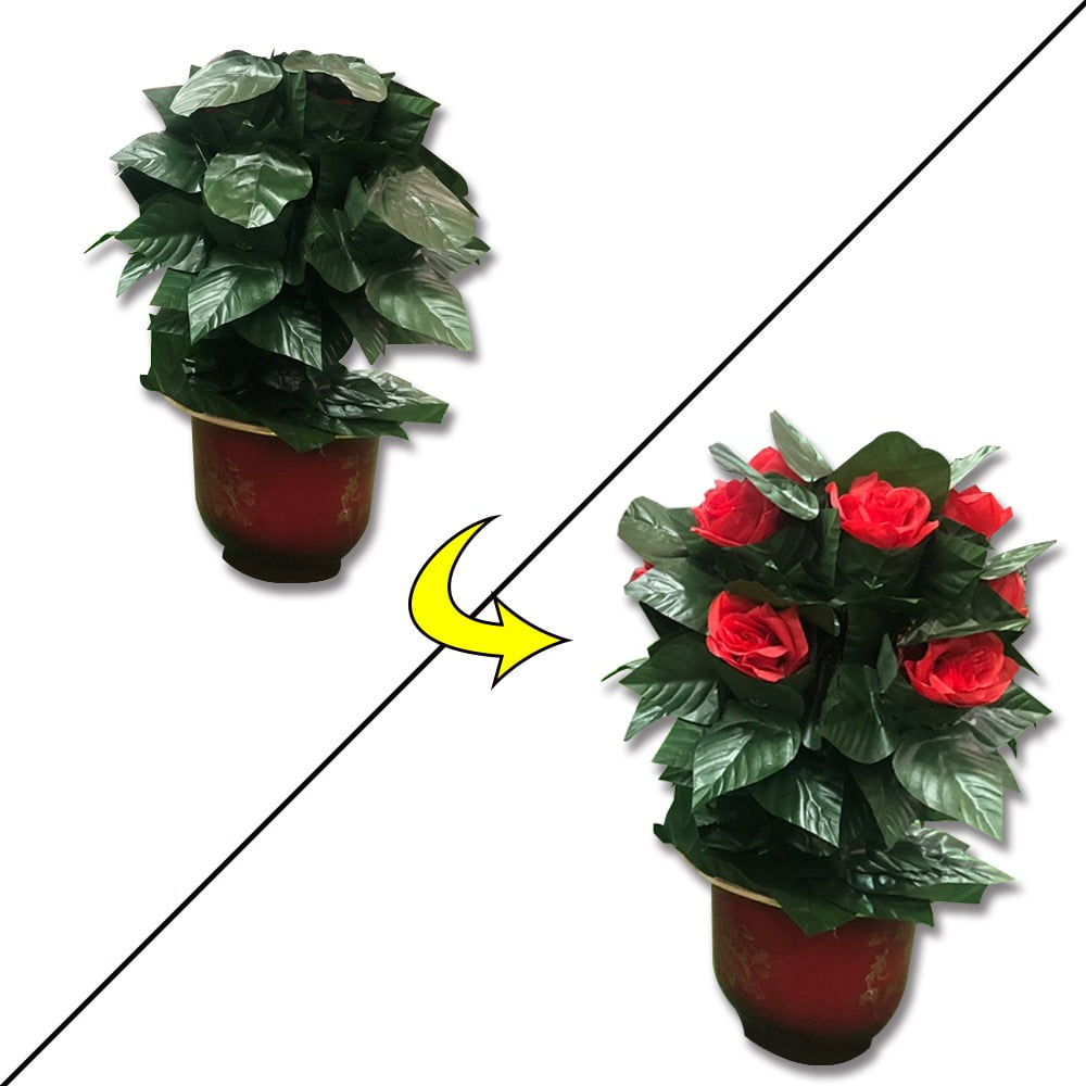 [구매대행]나타나는화분꽃-10송이(Blooming Rose Bush-10) *건전지미포함[구매대행]나타나는화분꽃-10송이(Blooming Rose Bush-10) *건전지미포함