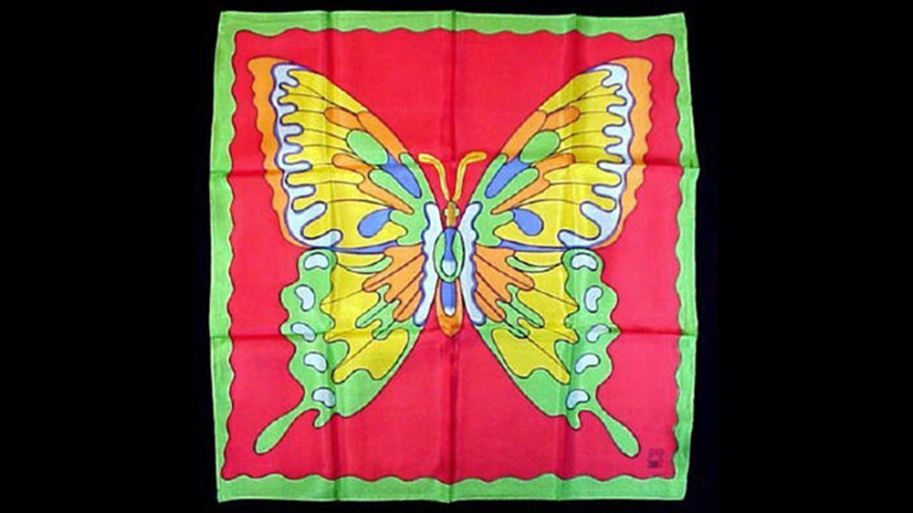 Rice Picture Silk 18&quot; (Butterfly) by Silk King Studios - Trick