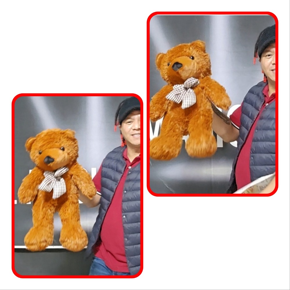 Bear that appears (small size) (APPEARING TEDDY BEAR (SMALL))