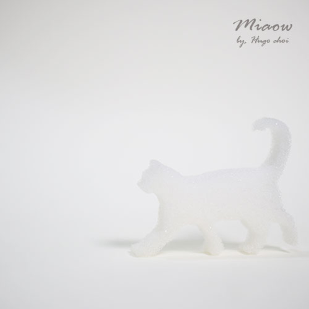 Miaow (고양이 스펀지)Miaow (고양이 스펀지)