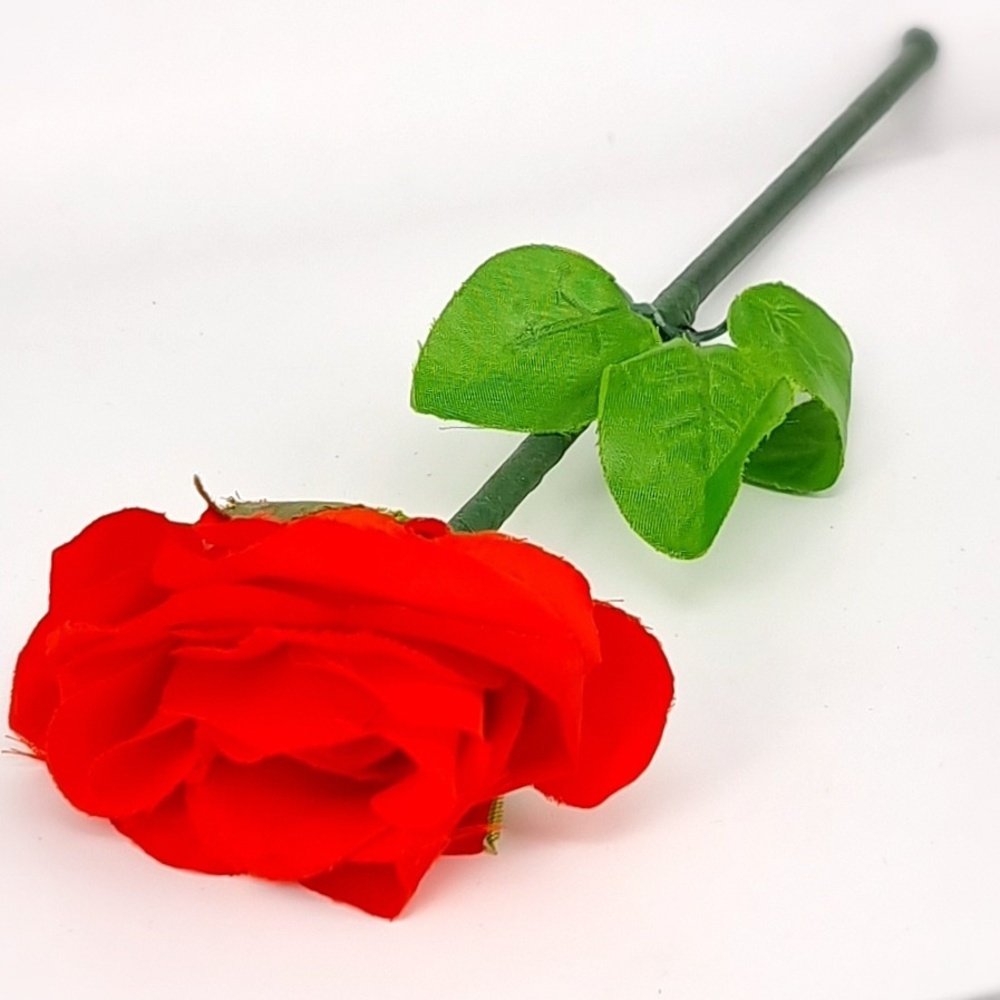 발렌타인의 장미(Valentine&#039;s Rose) by MAGIC MANIA발렌타인의 장미(Valentine&#039;s Rose) by MAGIC MANIA
