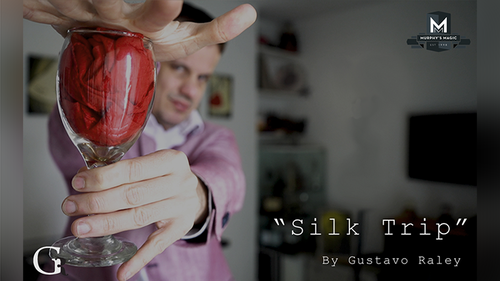 Silk Trip by Gustavo Raley video - DOWNLOAD
