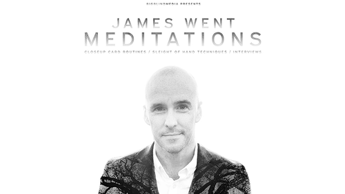 James Went&#039;s Meditations video DOWNLOAD