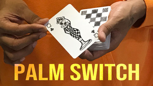 Magic Encarta Presents Palm Switch &amp; Palm Control by Vivek Singhi
