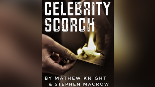 Celebrity Scorch (Downey Jr &amp; Beckham) by Mathew Knight and Stephen Macrow