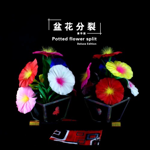 (VB매직)파티플라워스플릿_디럭스에디션Potted Flower Split [Deluxe Edition] by vbmagic(VB매직)파티플라워스플릿_디럭스에디션Potted Flower Split [Deluxe Edition] by vbmagic
