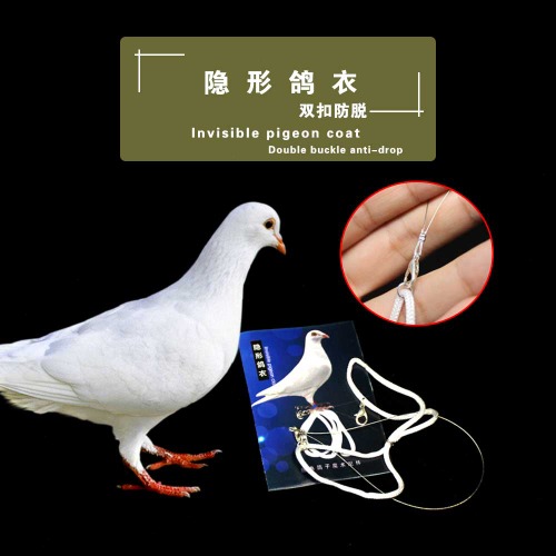 (VB매직)보이지않는비둘기의상[비둘기액세서리]Invisible pigeon clothing[change pigeon accessories](VB매직)보이지않는비둘기의상[비둘기액세서리]Invisible pigeon clothing[change pigeon accessories]