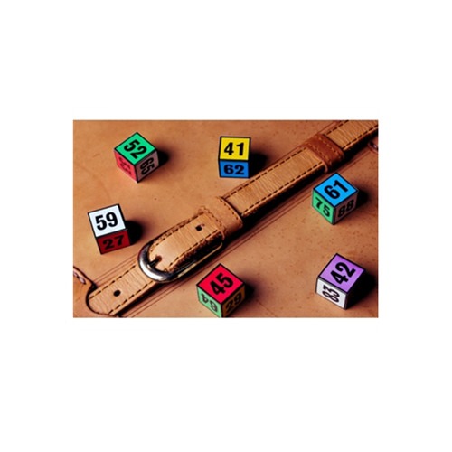 6색다이스(6-color dice)[한국독점] 마술도구 마술용품6색다이스(6-color dice)[한국독점] 마술도구 마술용품
